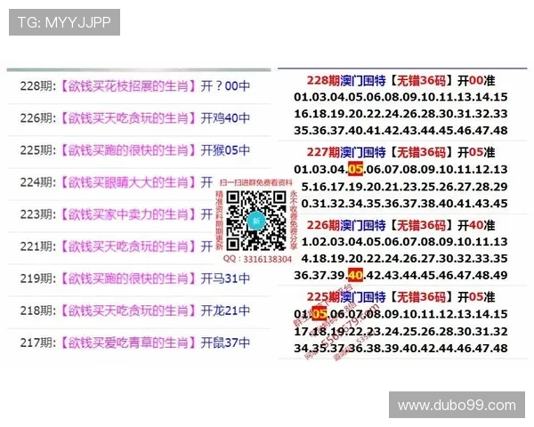 探索澳门新彩网官方网站免费投注的无限可能